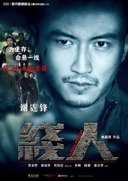 荷兰开放大学金融文凭证书